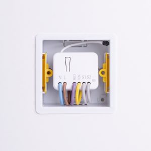 Inside of the relay switch