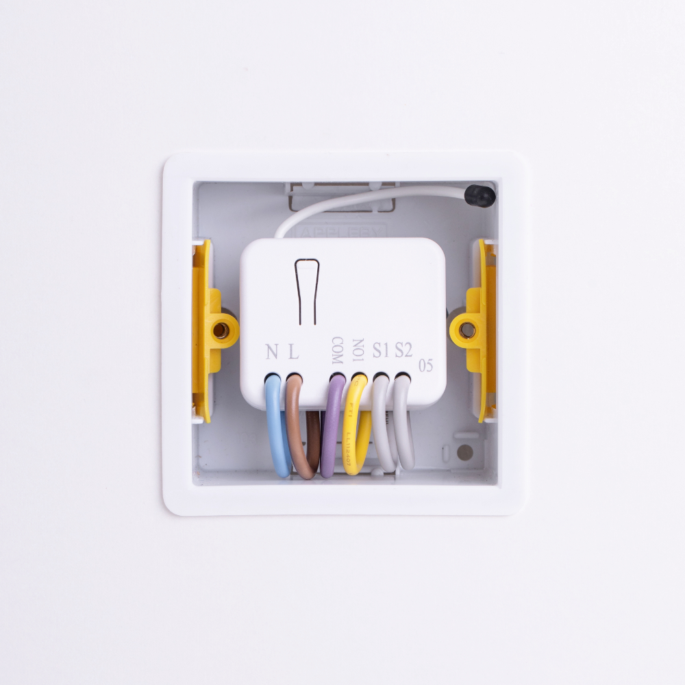 Inside of the relay switch